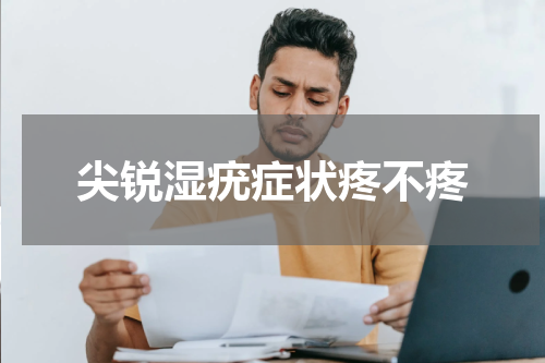 尖锐湿疣症状疼不疼