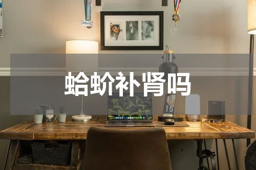 蛤蚧补肾吗
