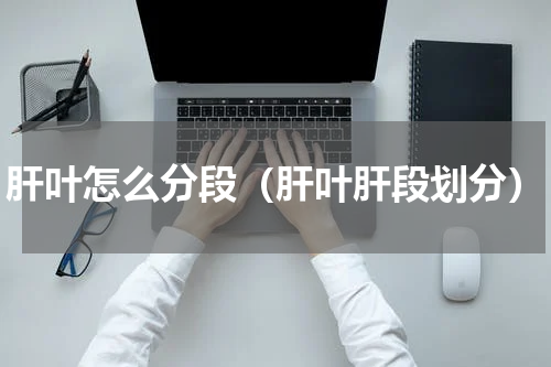肝叶怎么分段（肝叶肝段划分）