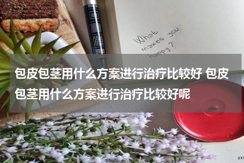 包皮包茎用什么方案进行治疗比较好 包皮包茎用什么方案进行治疗比较好呢