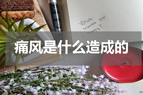 痛风是什么造成的