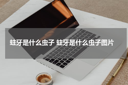 蛀牙是什么虫子 蛀牙是什么虫子图片