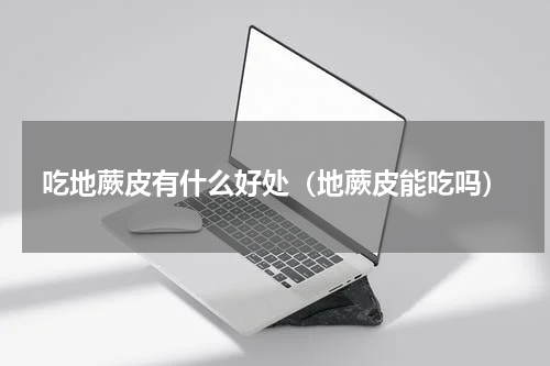 吃地蕨皮有什么好处（地蕨皮能吃吗）