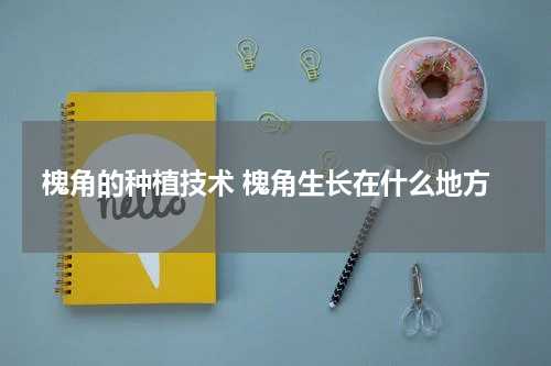 槐角的种植技术 槐角生长在什么地方