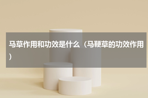 马草作用和功效是什么（马鞕草的功效作用）