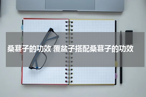 桑葚子的功效 覆盆子搭配桑葚子的功效