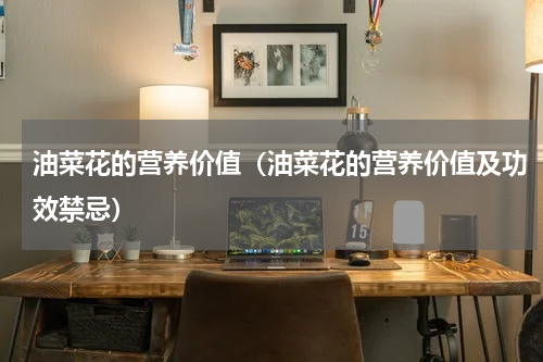油菜花的营养价值（油菜花的营养价值及功效禁忌）