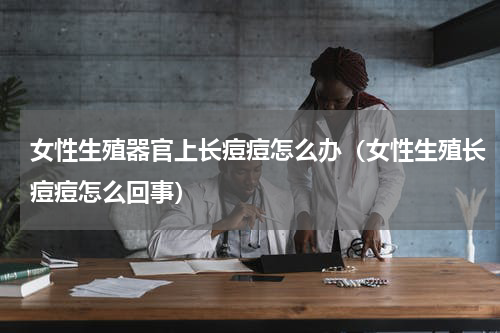 女性生殖器官上长痘痘怎么办（女性生殖长痘痘怎么回事）