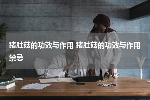 猪肚菇的功效与作用 猪肚菇的功效与作用禁忌