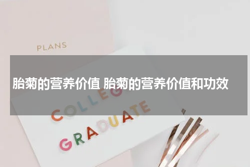 胎菊的营养价值 胎菊的营养价值和功效
