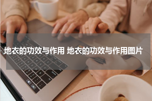 地衣的功效与作用 地衣的功效与作用图片