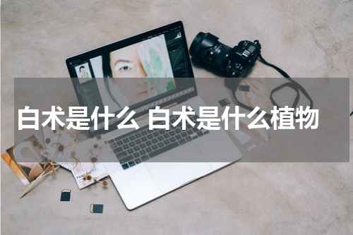 白术是什么 白术是什么植物
