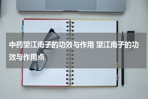 中药望江南子的功效与作用 望江南子的功效与作用点