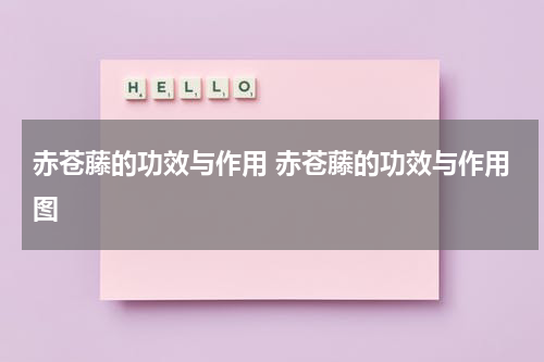 赤苍藤的功效与作用 赤苍藤的功效与作用图