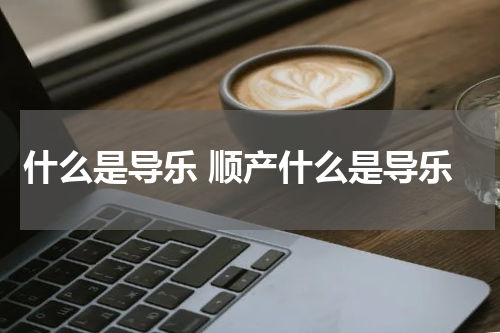 什么是导乐 顺产什么是导乐