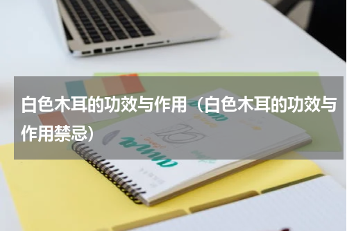 白色木耳的功效与作用（白色木耳的功效与作用禁忌）