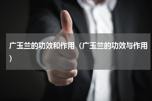 广玉兰的功效和作用（广玉兰的功效与作用）