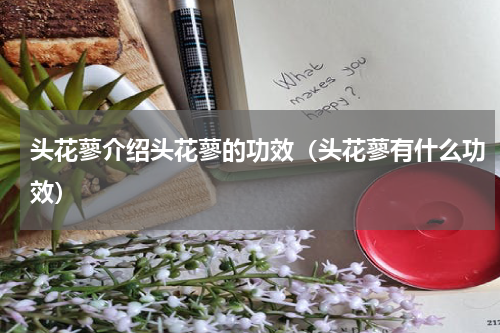 头花蓼介绍头花蓼的功效（头花蓼有什么功效）