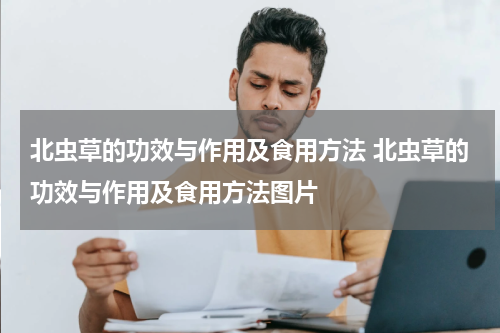 北虫草的功效与作用及食用方法 北虫草的功效与作用及食用方法图片