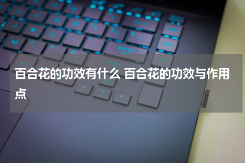 百合花的功效有什么 百合花的功效与作用点