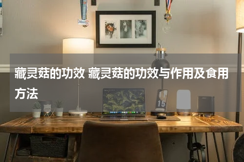 藏灵菇的功效 藏灵菇的功效与作用及食用方法