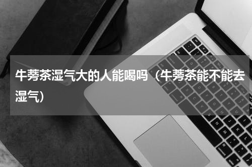 牛蒡茶湿气大的人能喝吗（牛蒡茶能不能去湿气）