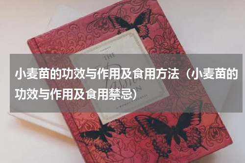 小麦苗的功效与作用及食用方法（小麦苗的功效与作用及食用禁忌）