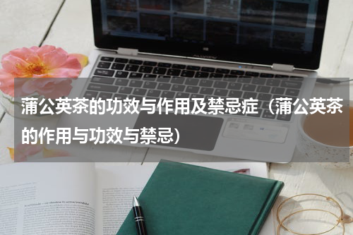 蒲公英茶的功效与作用及禁忌症（蒲公英茶的作用与功效与禁忌）