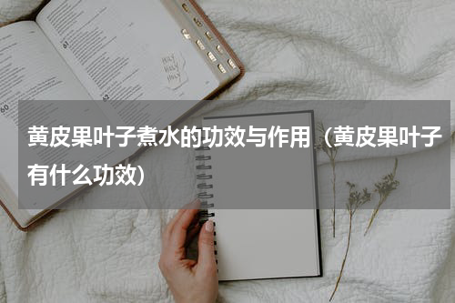 黄皮果叶子煮水的功效与作用（黄皮果叶子有什么功效）