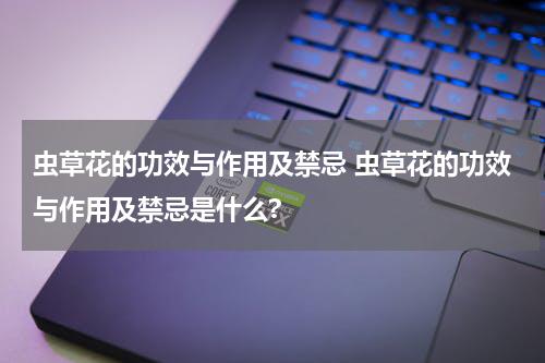 虫草花的功效与作用及禁忌 虫草花的功效与作用及禁忌是什么?