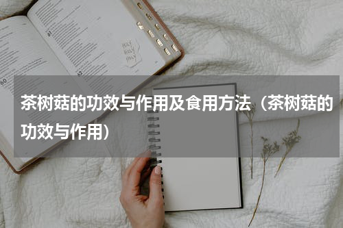 茶树菇的功效与作用及食用方法（茶树菇的功效与作用）