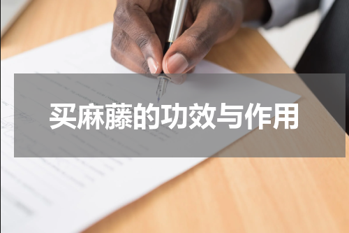 买麻藤的功效与作用