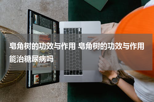 皂角树的功效与作用 皂角树的功效与作用能治糖尿病吗