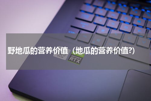 野地瓜的营养价值（地瓜的营养价值?）