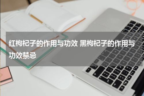红枸杞子的作用与功效 黑枸杞子的作用与功效禁忌