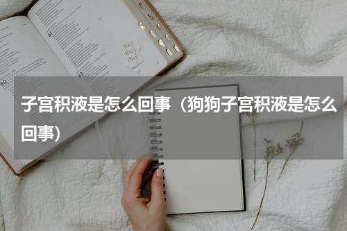 子宫积液是怎么回事（狗狗子宫积液是怎么回事）
