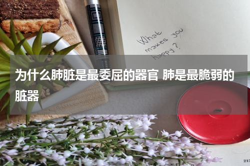 为什么肺脏是最委屈的器官 肺是最脆弱的脏器