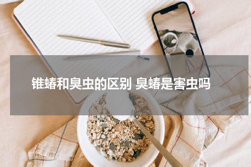 锥蝽和臭虫的区别 臭蝽是害虫吗