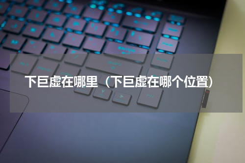 下巨虚在哪里（下巨虚在哪个位置）