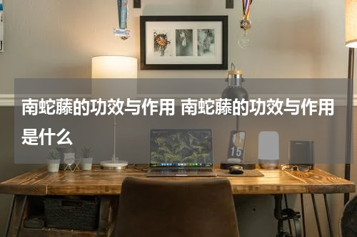 南蛇藤的功效与作用 南蛇藤的功效与作用是什么
