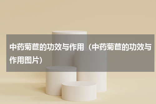 中药菊苣的功效与作用（中药菊苣的功效与作用图片）