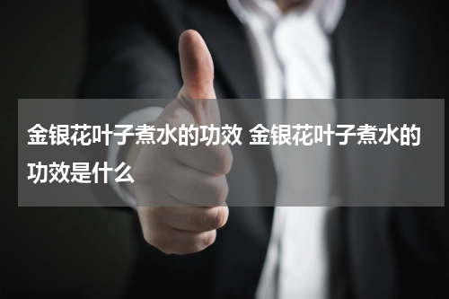 金银花叶子煮水的功效 金银花叶子煮水的功效是什么