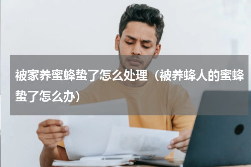 被家养蜜蜂蛰了怎么处理（被养蜂人的蜜蜂蛰了怎么办）