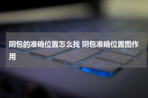 阴包的准确位置怎么找 阴包准确位置图作用