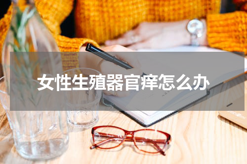 女性生殖器官痒怎么办