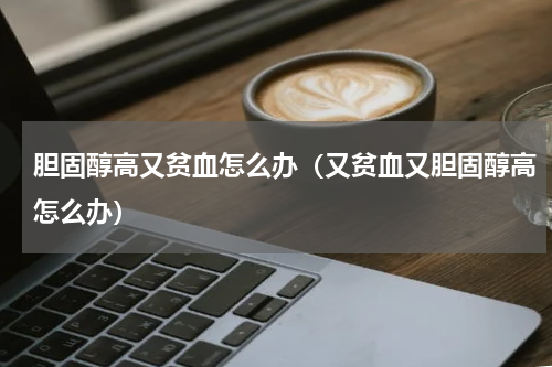 胆固醇高又贫血怎么办（又贫血又胆固醇高怎么办）
