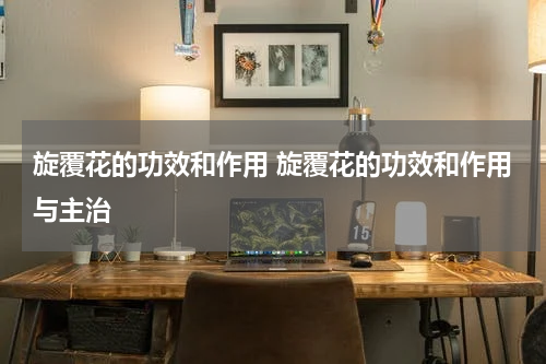 旋覆花的功效和作用 旋覆花的功效和作用与主治