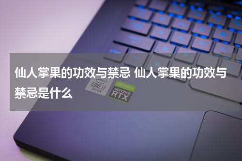 仙人掌果的功效与禁忌 仙人掌果的功效与禁忌是什么