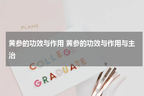 黄参的功效与作用 黄参的功效与作用与主治