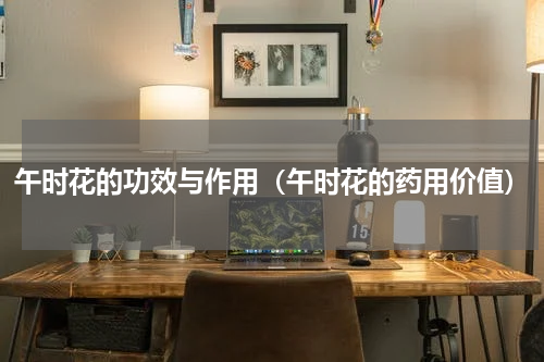 午时花的功效与作用（午时花的药用价值）